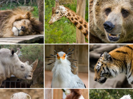 10. Zoo Praha, Prague, Czech Republic