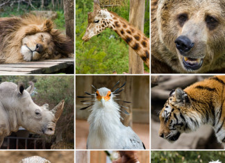 10. Zoo Praha, Prague, Czech Republic