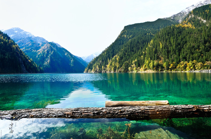 © nutsiam - Fotolia.com