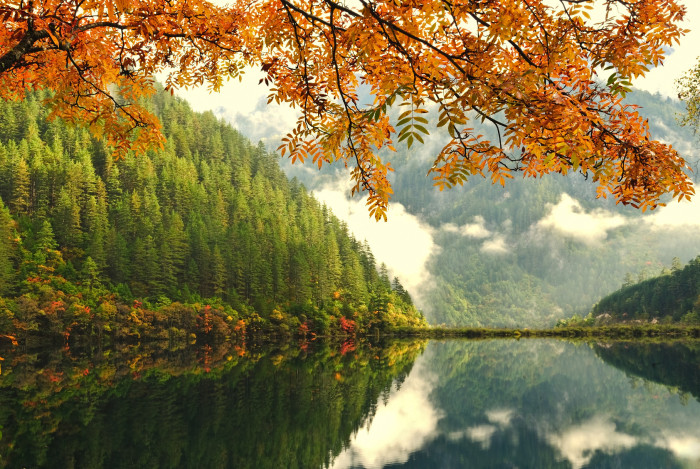 © nutsiam - Fotolia.com