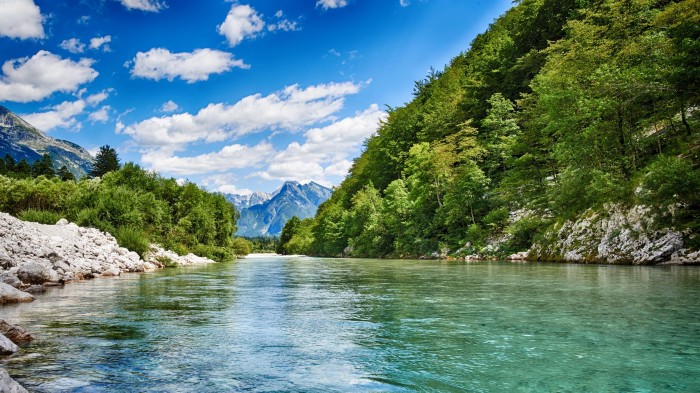 © dejangasparin - Fotolia.com