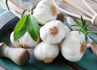 7 Health Benefits Of Garlic You Should Know