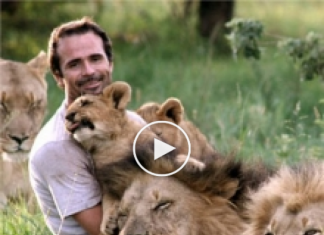 Watch Amazing Friendship With King of Jungle