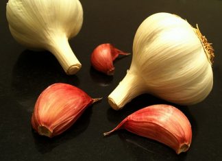 3 Health Benefits of Lemon with Garlic Mixture on Cholesterol