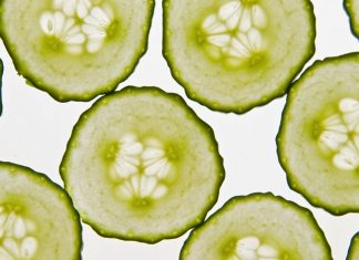 5 Amazing Health Benefits Of Cucumber Water