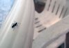 10 Ways to Get Rid of Ants